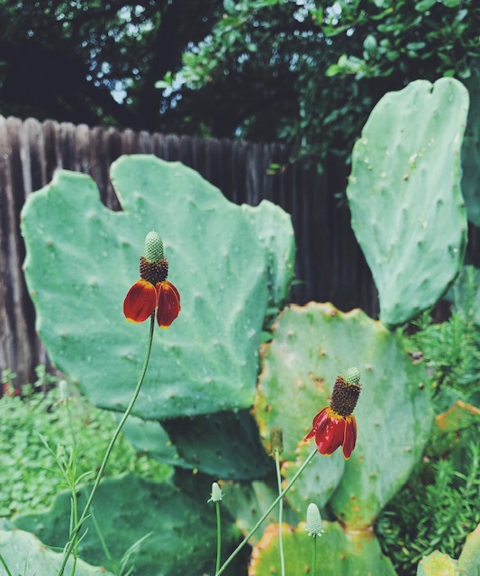 Processed with VSCO with f2 preset