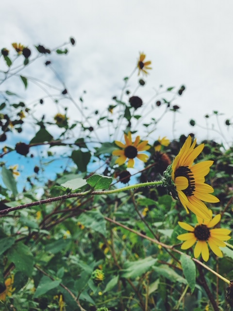 Processed with VSCO with f2 preset